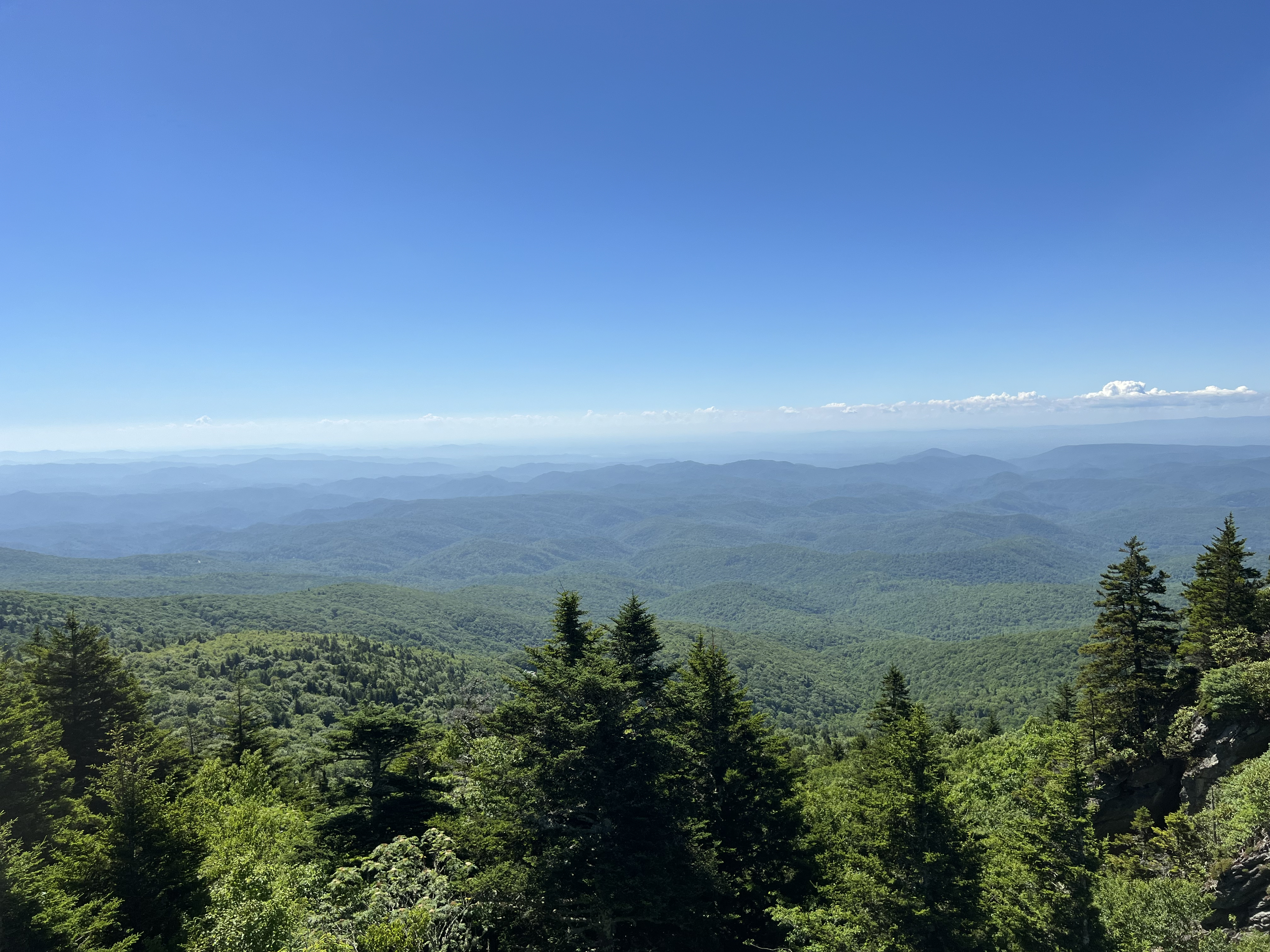 ./2024/08 - Banner Elk/Grandfather Mountain/IMG_1876.jpg